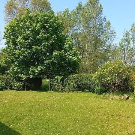 Apartman V Jame Černá v Pošumaví Esterno foto